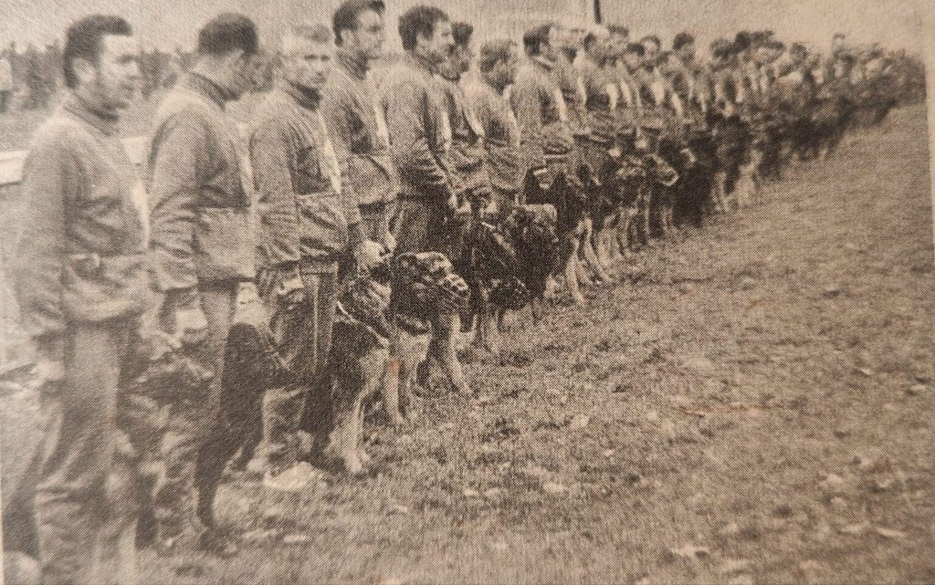 DDR German shepherd dogs